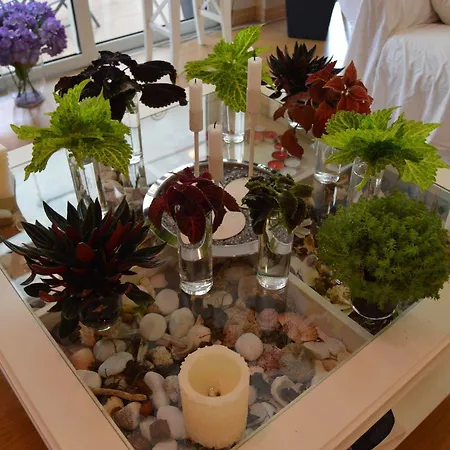 Casa de hóspedes Mar Del Plata (adults Only) 2*